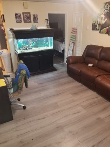 41 Donnelly St, Fall River MA 02723 exterior