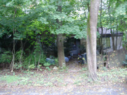 54 Avalon Rd, Newton, MA 02468-1612