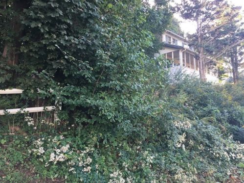 14 Governor Long Rd, Hingham MA 02043-4516 exterior