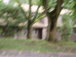 26 Fairlee Rd, Newton, MA 02468-2036