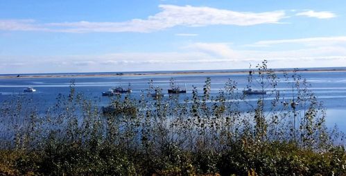 65 Morris Is Rd, Chatham MA 02633-2526 exterior