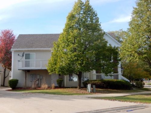 334 Newbury Ln, Lemont IL  60440-2839 exterior