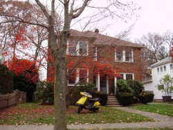 123 Langdon St, Newton, MA 02458-1982