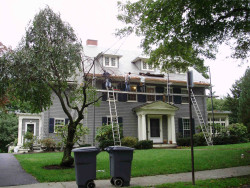 63 Windsor Rd, Newton, MA 02468-1504