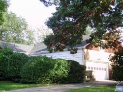 97 Valentine St, Newton, MA 02465-3019