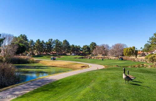 11648 41st Pl, Phoenix AZ  85028-2214 exterior