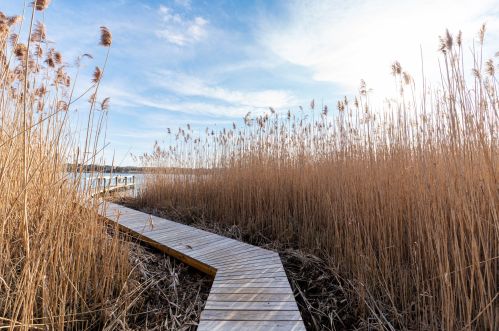 1239 Main St, Chatham MA 02633-2422 exterior