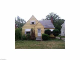 271 260th St, Cleveland, OH 44132-1401