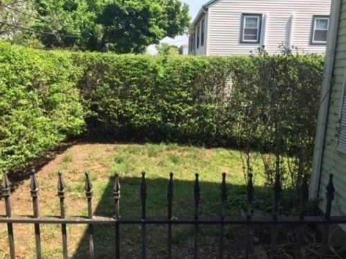 53 Gardner St, Arlington MA 02474-3827 exterior