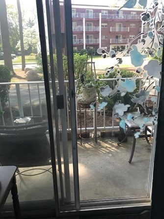 25 Greentree Ln, Weymouth MA 02190-2052 exterior