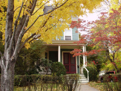 43 Floral St, Newton, MA 02461-1246