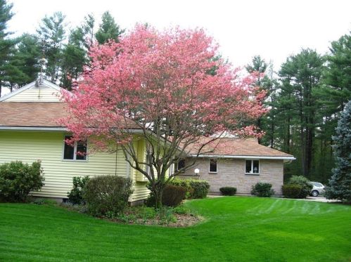 10 Brookside Ln, Norfolk, MA 02056-1170