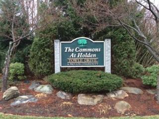 11 Towle Dr, Holden MA  01520-1266 exterior