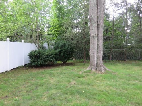 37 Truman Rd, Newton MA 02459-2641 exterior