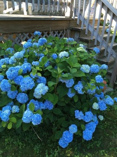 216 Hull St, Hingham MA 02043-1423 exterior