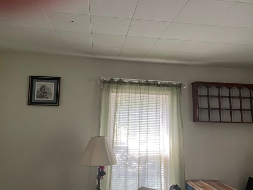 28 Circuit Ave, Worcester MA 01603-2159 exterior