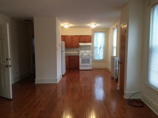 115 Salaignac St, Philadelphia PA  19127-1809 exterior