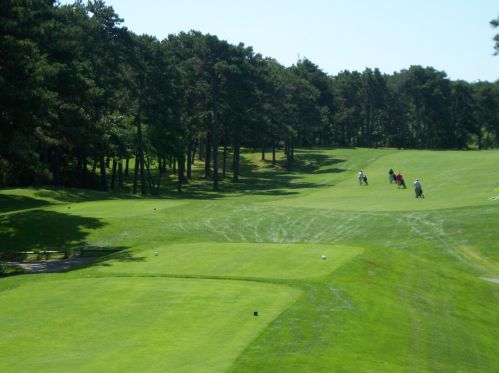 231 Route 28, Harwich MA exterior