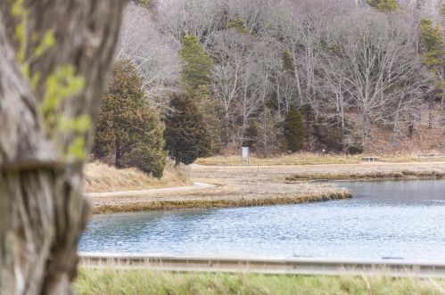 20 Locust Rd, Eastham MA 02642-2460 exterior