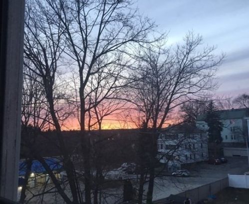 4 Maxwell Ct, Worcester MA 01607-1016 exterior