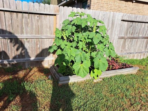 17306 Browning Trace Ln, Richmond TX 77407-2752 exterior