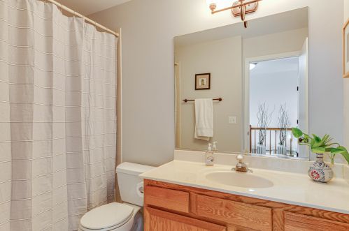 254 Paddington Ln, Lemont IL 60440-4533 exterior