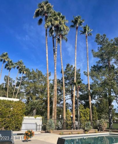 5327 26th St, Phoenix AZ 85032-8017 exterior