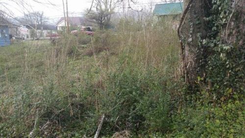 514 Hemlock St, La Follette, TN 37766-3705