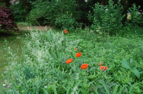 164 Samoset Rd, Eastham MA 02642-3144 exterior