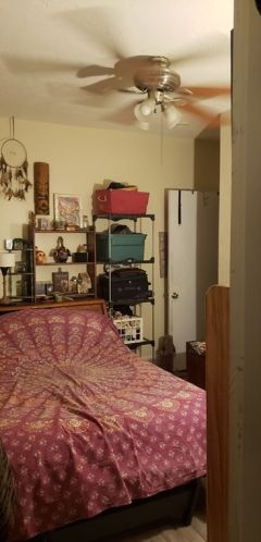 19 Whipple St, Worcester MA 01607-1339 exterior