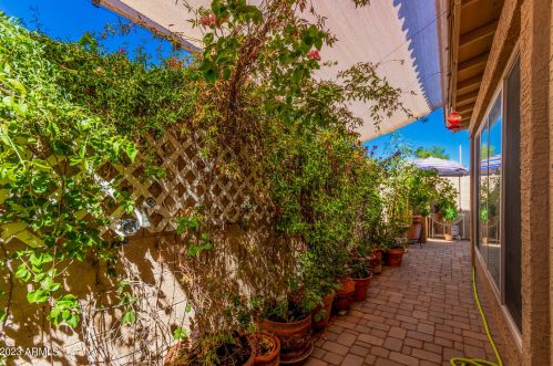 13639 42 Pl, Phoenix AZ 85032-2231 exterior