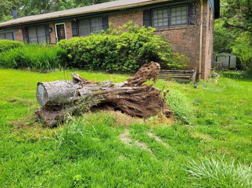 921 Doeskin Dr, Conyers GA 30012-4079 exterior