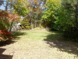 38 Elliot St, Newton, MA 02461-1605