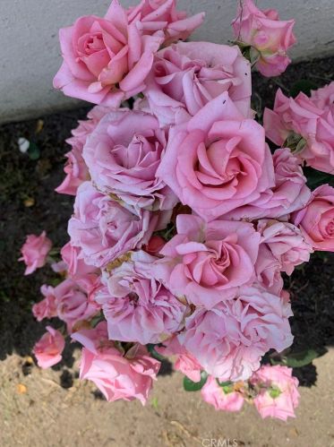 15012 Hayward St, Whittier CA 90603-2017 exterior