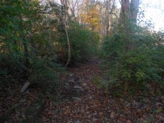 1306 Mary Ingles Hwy, Melbourne KY  41059-8247 exterior