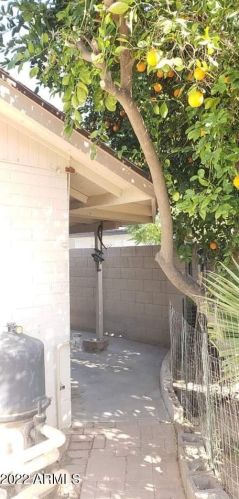 3615 Cholla St, Phoenix AZ 85029-3817 exterior