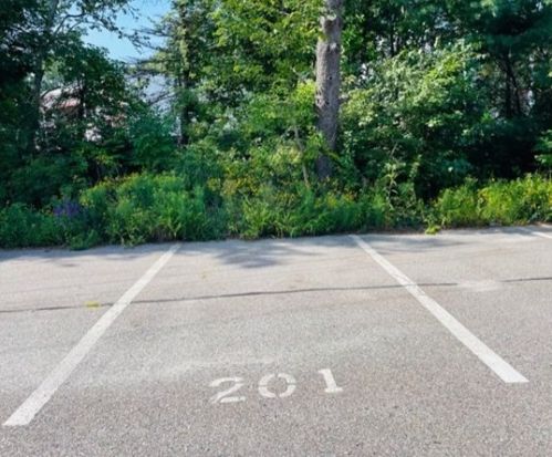 79 Fountain Ln, Weymouth MA 02190-2170 exterior