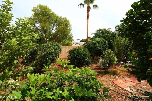 412 Aire Libre Ave, Phoenix, AZ 85023-7923