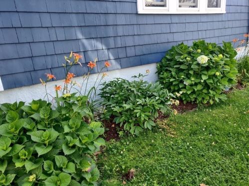 30 Philips St, Arlington, MA 02474-3224