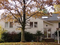 60 Arlo Rd, Newton, MA 02464-1001