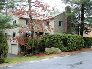 89 Voyagers Ln, Ashland MA  01721-1452 exterior