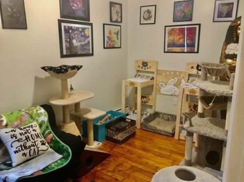 187 Crapo St, New Bedford MA 02744-1027 exterior