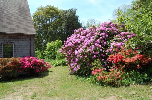 164 Samoset Rd, Eastham MA 02642-3144 exterior