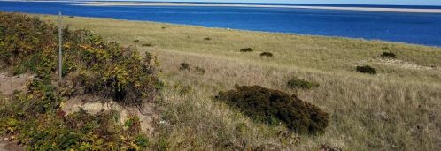 65 Morris Is Rd, Chatham MA 02633-2526 exterior