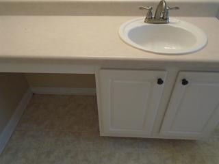 202 Northtowne Cv, Stockbridge GA  30281-0904 exterior