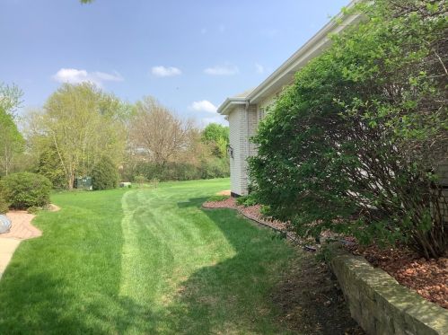 1365 Overton Dr, Lemont IL 60439-8544 exterior