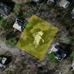 137 Elgin St, Newton MA  02459-2301 aerial view