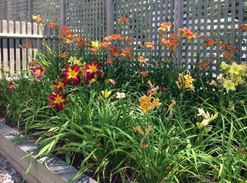 16 Joshuas Way, Chatham MA 02633-1565 exterior