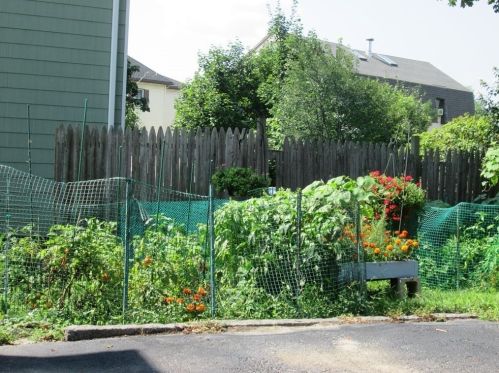 6 Ericsson St, Worcester MA 01606-2308 exterior