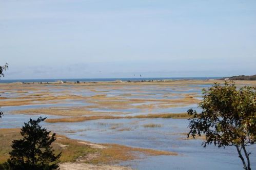 20 Teal Way, Eastham MA  02642-3411 exterior